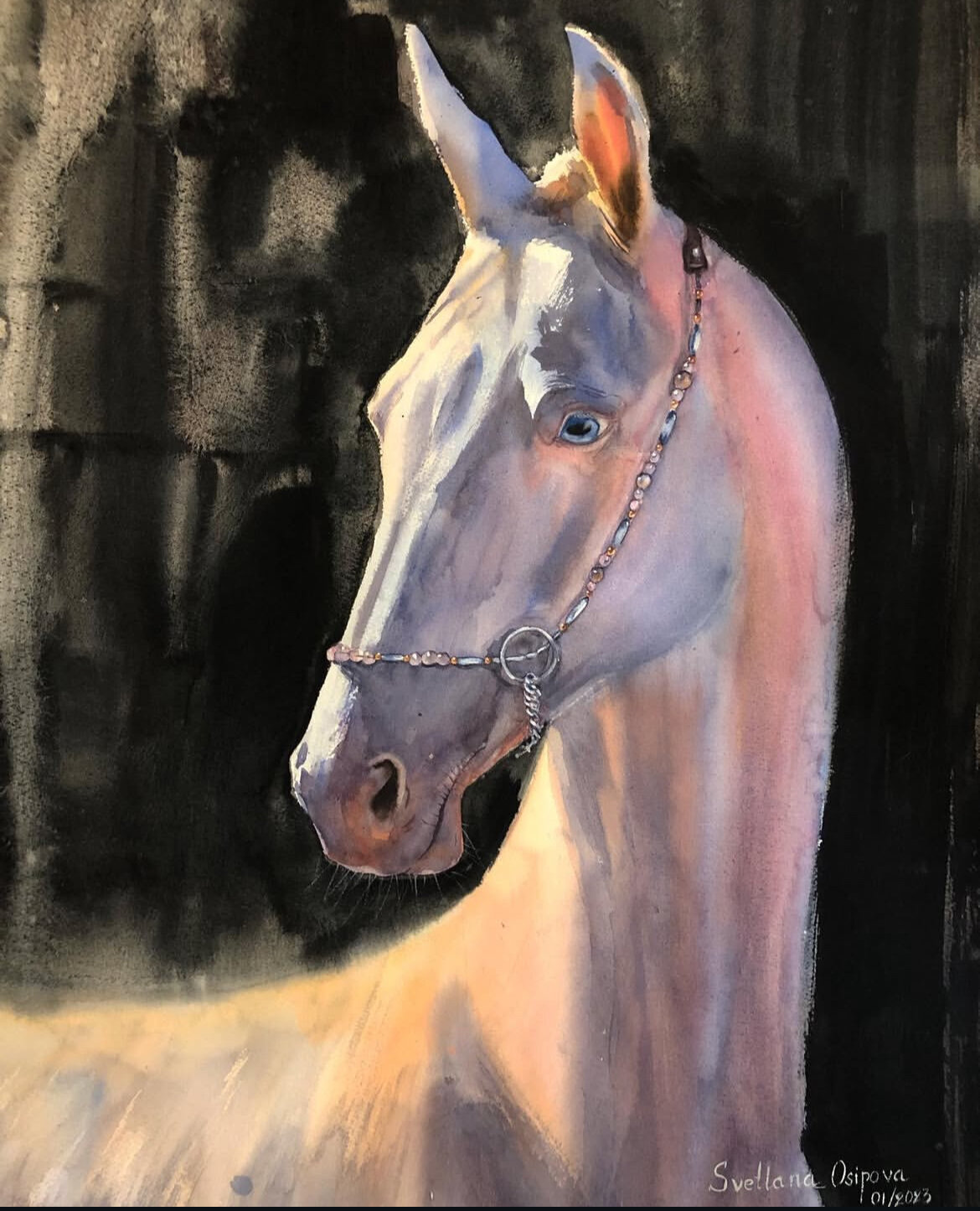 Akhal-Teke mare