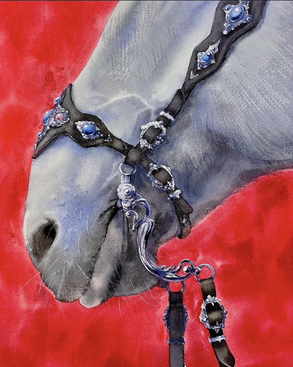 Spanish bridle
Watercolour on watercolour paper