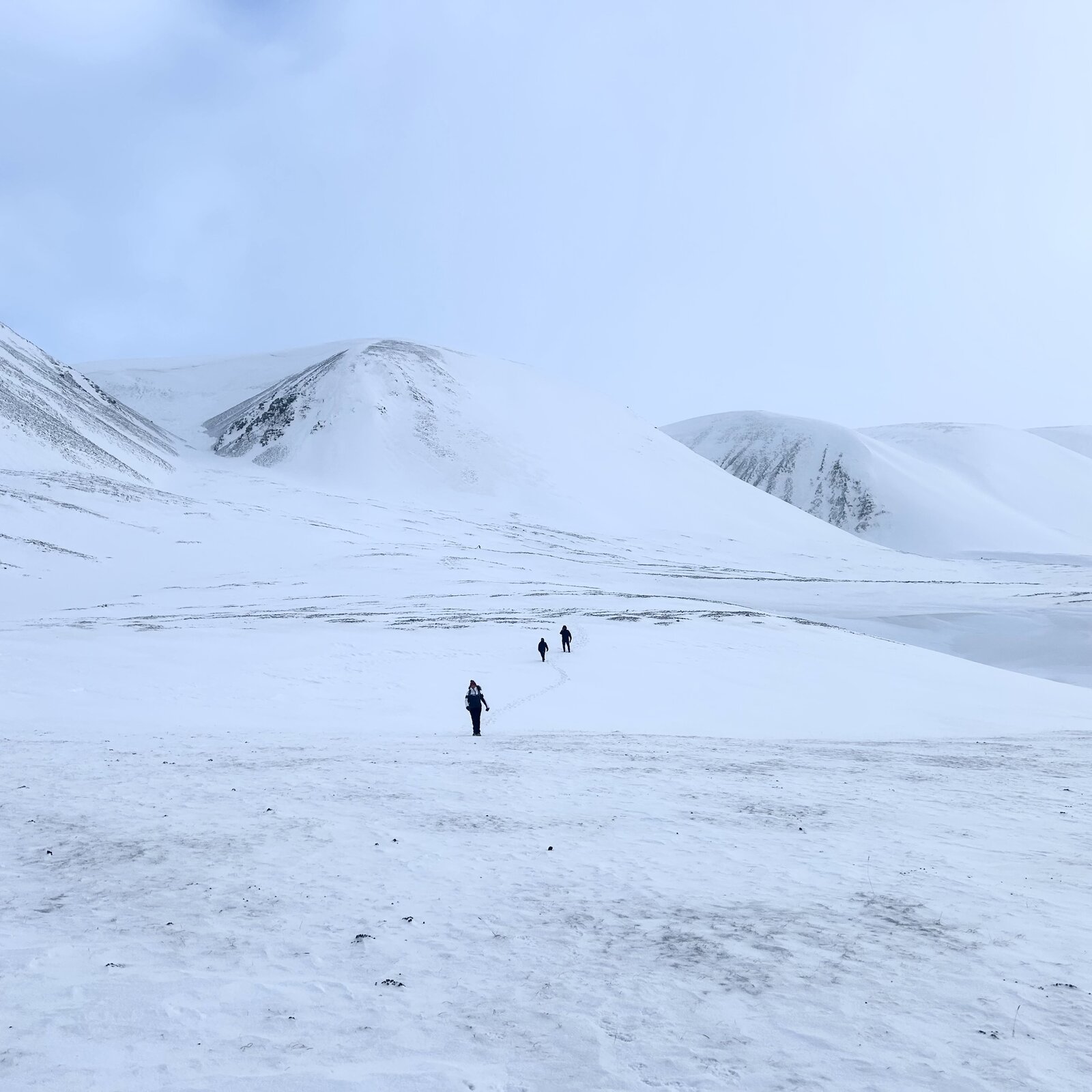 Svalbard 🇳🇴 - 2026